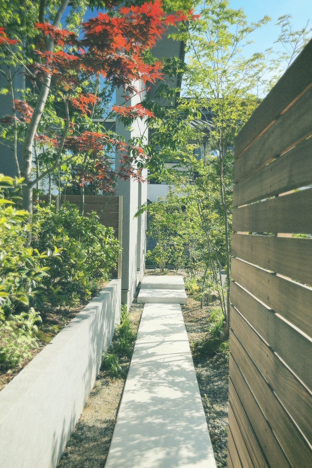 木が生い茂る鈴鹿モデルハウス 暮らしと庭設計室
